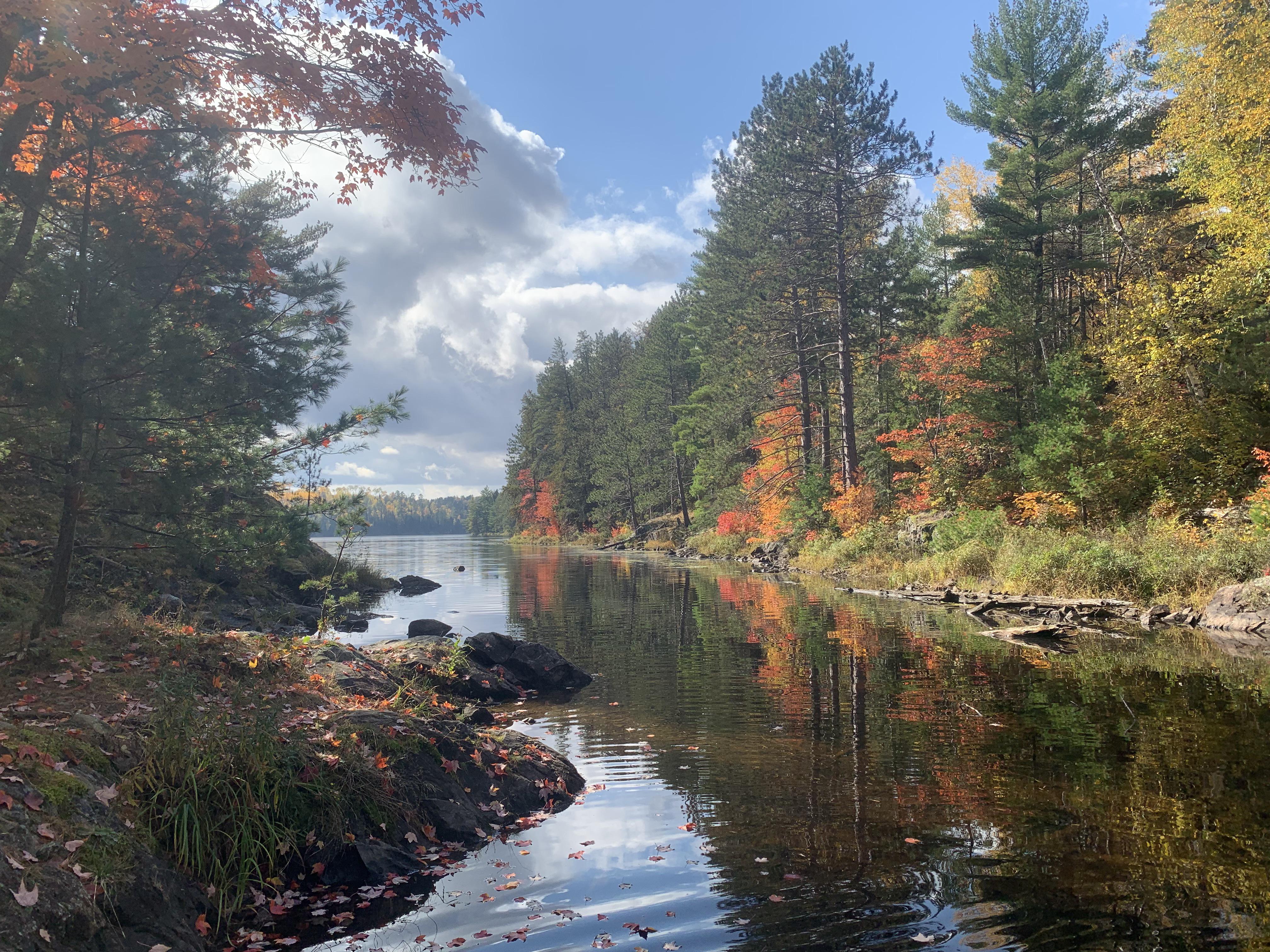 BWCA autumn lake, northern Minnesota